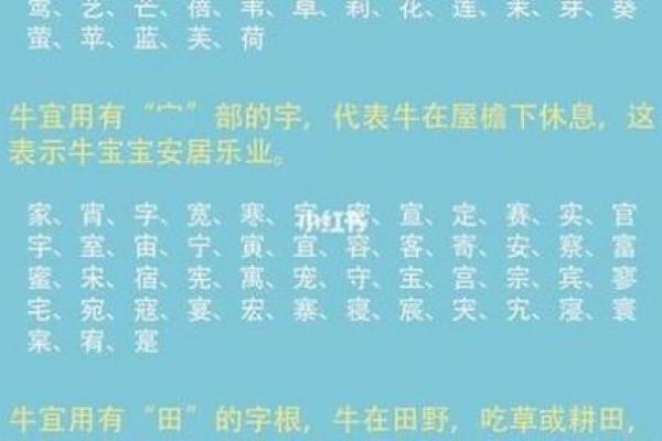 中午1点出生的属牛男孩适合取什么名字姓名