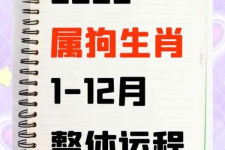 上午11点出生的属狗男孩怎么取名，用什么字好姓名