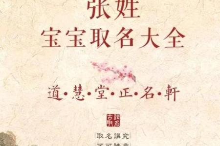 张姓女孩名字大全-张姓女孩起名字大全-张姓名字大全姓名