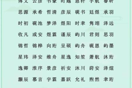 项姓男孩名字大全-项姓男孩起名字大全-项姓名字大全姓名
