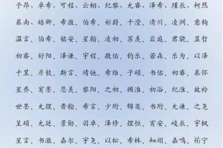 2019年3月31号酉时出生的男孩要怎么起名字姓名