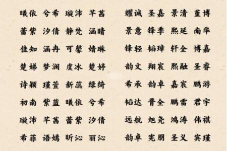 属狗寅时出生的男孩应该怎样起名，宜用什么字姓名