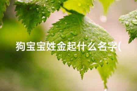 五月份出生的属狗男孩应该如何取名字姓名