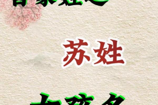 上午出生的属虎男孩适合起什么名，用什么字姓名