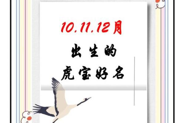 12月份出生的属虎男孩如何取名字姓名
