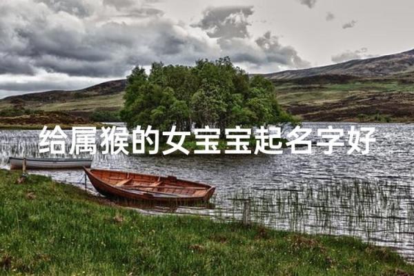 上午出生的属猴男孩起什么名，适合什么字姓名