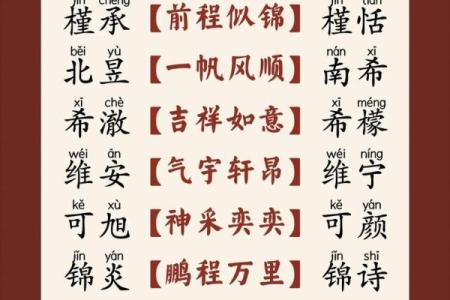 2019年6月14号子时出生的男孩应该起什么样的名字姓名