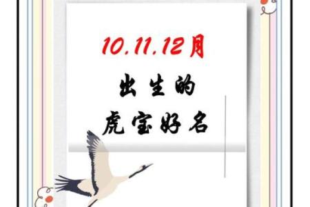 12月份出生的属虎男孩如何取名字姓名