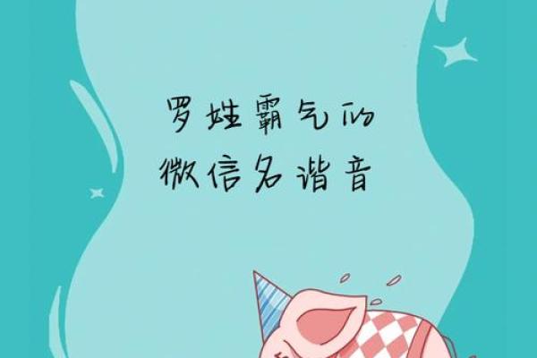 罗姓女孩名字大全-罗姓女孩起名字大全-罗姓名字大全姓名