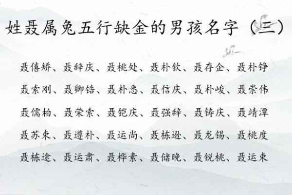 2019年4月4号卯时出生的男孩起名时要注意什么姓名