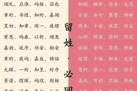 2019年3月28号寅时出生的男孩如何起名姓名