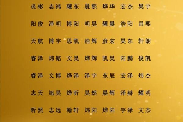 怎么样给晚上1点出生的属鸡男孩起名字合适姓名