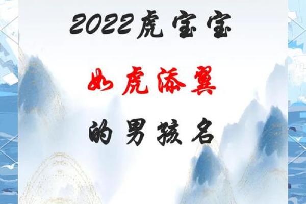 半夜出生的属虎男孩起什么名，应用什么字姓名