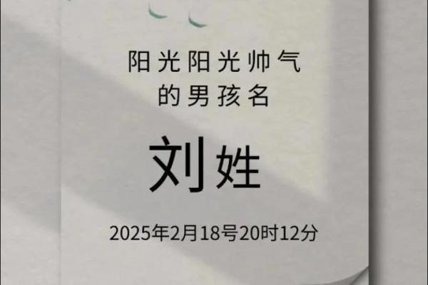 2019年出生的姓刘男孩如何起名，宜用什么字姓名