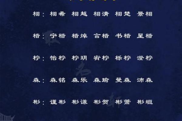 2019年4月26号丑时出生的男孩起名方法姓名
