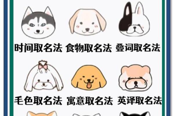 2018年狗宝宝最适合用什么字来起名 -华易网姓名