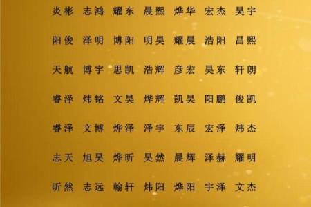 怎么样给晚上1点出生的属鸡男孩起名字合适姓名