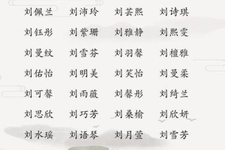 2019年出生的姓刘男孩如何起名，宜用什么字姓名