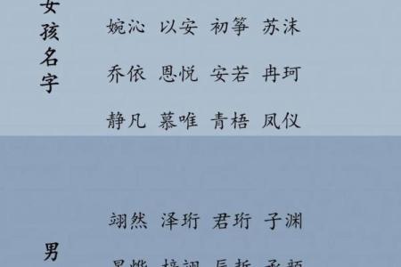 2019年4月26号丑时出生的男孩起名方法姓名