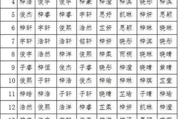 2019年4月17号子时出生的男孩应该起什么样的名字姓名