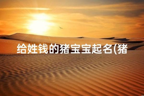 5月份出生的属猪男孩该怎么起名姓名 5月份出生的属猪男孩该怎么起名姓名