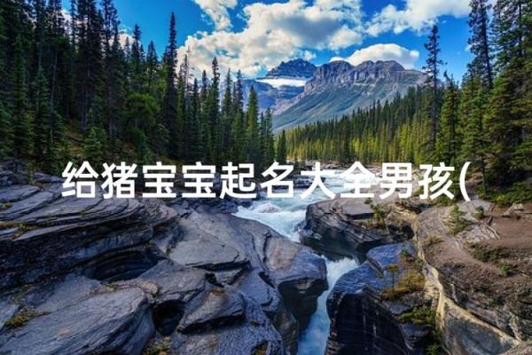 5月份出生的属猪男孩该怎么起名姓名 5月份出生的属猪男孩该怎么起名姓名