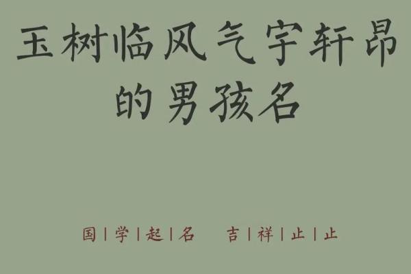 2019年3月31号寅时出生的男孩要怎么起名字姓名