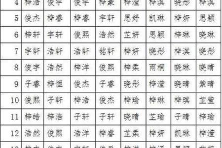 2019年4月17号子时出生的男孩应该起什么样的名字姓名