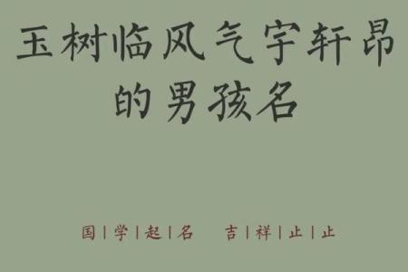 2019年3月31号寅时出生的男孩要怎么起名字姓名