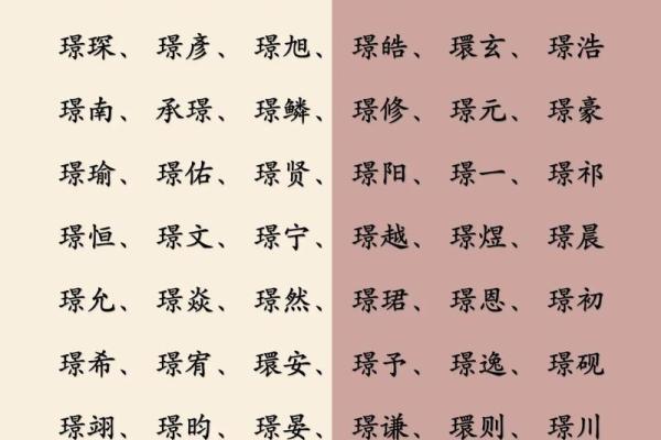 2019年6月13号寅时出生的男孩应该起什么样的名字姓名