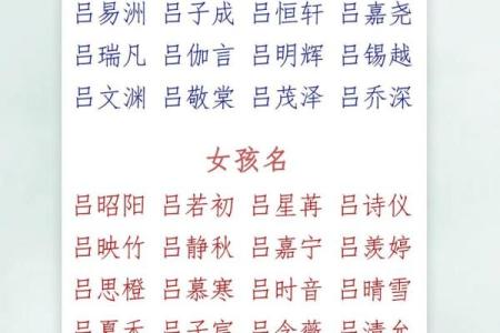 2019年3月29号辰时出生的男孩起名时要注意什么姓名