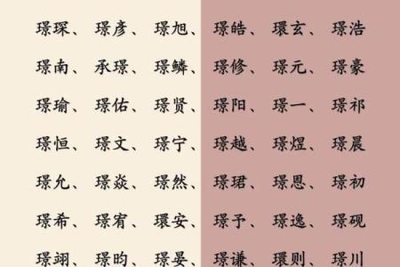 2019年6月13号寅时出生的男孩应该起什么样的名字姓名