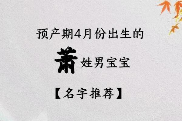 姓萧的名人-姓名学-华易算命网姓名