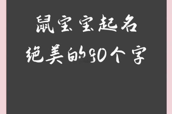 什么字适合给晚上11点出生的属鼠男孩起名姓名