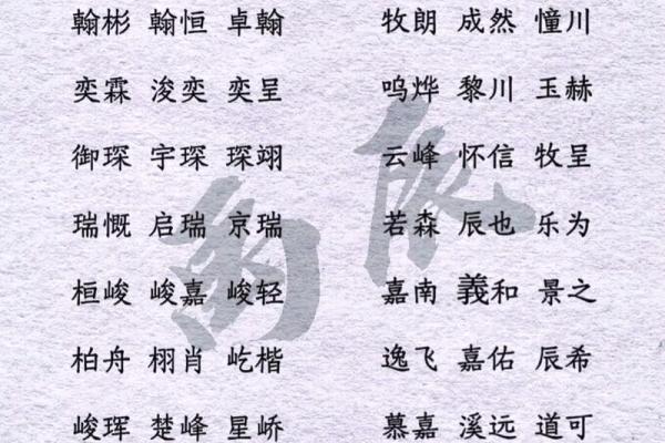 2019年6月23号子时出生的男孩如何起名姓名