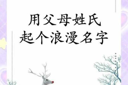 属鼠申时出生男孩怎样取好一个名字姓名