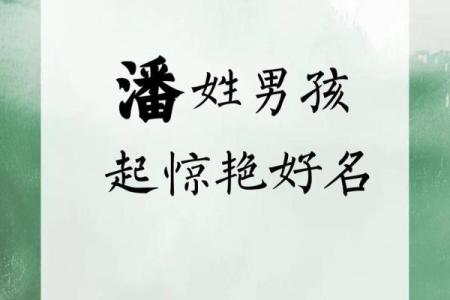 2019年出生的姓潘女孩如何起名，宜用什么字姓名
