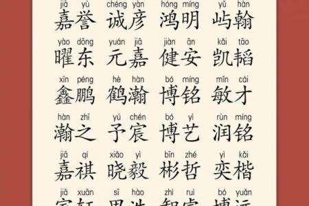 2019年6月23号子时出生的男孩如何起名姓名