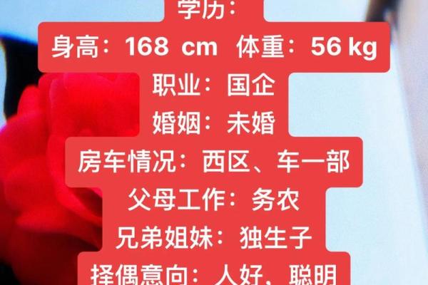 十一月份出生的属狗男孩应该名字该怎么取姓名