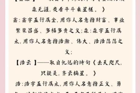 郎姓男孩名字大全-郎姓男孩起名字大全-郎姓名字大全姓名