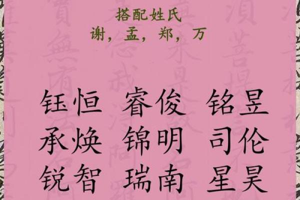 2019年3月22号酉时出生的男孩应该起什么样的名字姓名