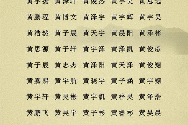2019年6月15号子时出生的男孩要怎么起名字姓名