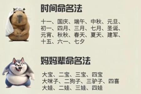 下午五点出生的属狗男孩取什么名，适合什么字姓名
