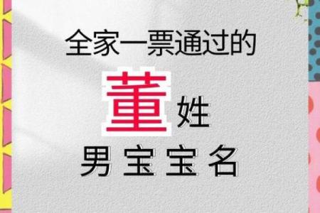 董姓男孩名字大全-董姓男孩起名字大全-董姓名字大全姓名