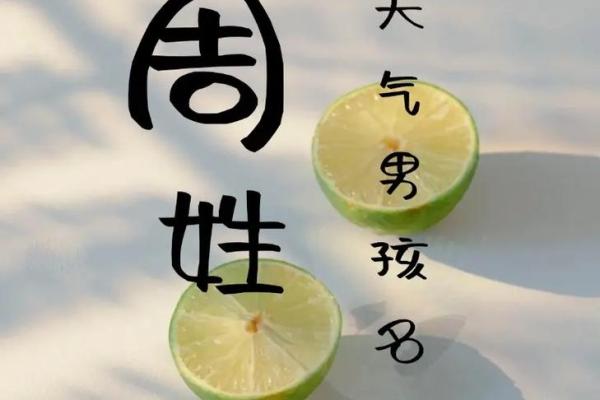 周姓男孩名字大全-周姓男孩起名字大全-周姓名字大全姓名