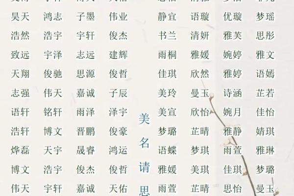2019年3月29号未时出生的男孩起名时要注意什么姓名