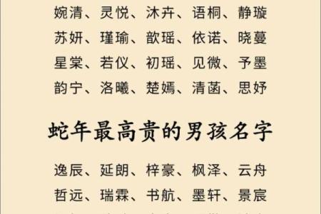 2019年3月27号辛时出生的男孩应该起什么样的名字姓名