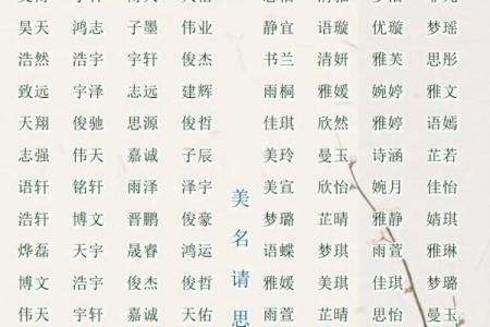 2019年3月29号未时出生的男孩起名时要注意什么姓名