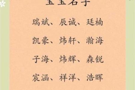 2019年4月12号寅时出生的男孩要怎么起名字姓名