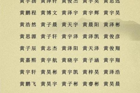 2019年4月7号卯时出生的男孩要怎么起名字姓名